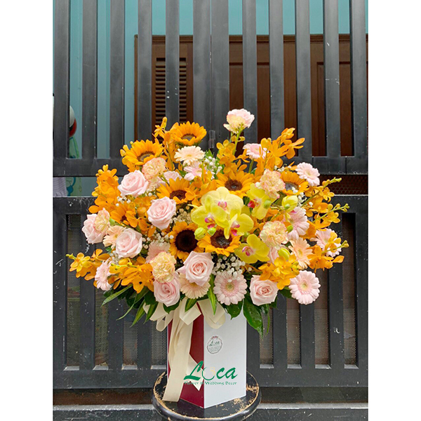 Hoa khai trương mẫu 6